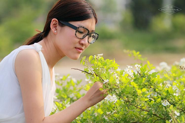 免费电影电视剧在线观看平台