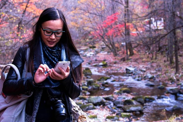 免费电影在线观看网址入口